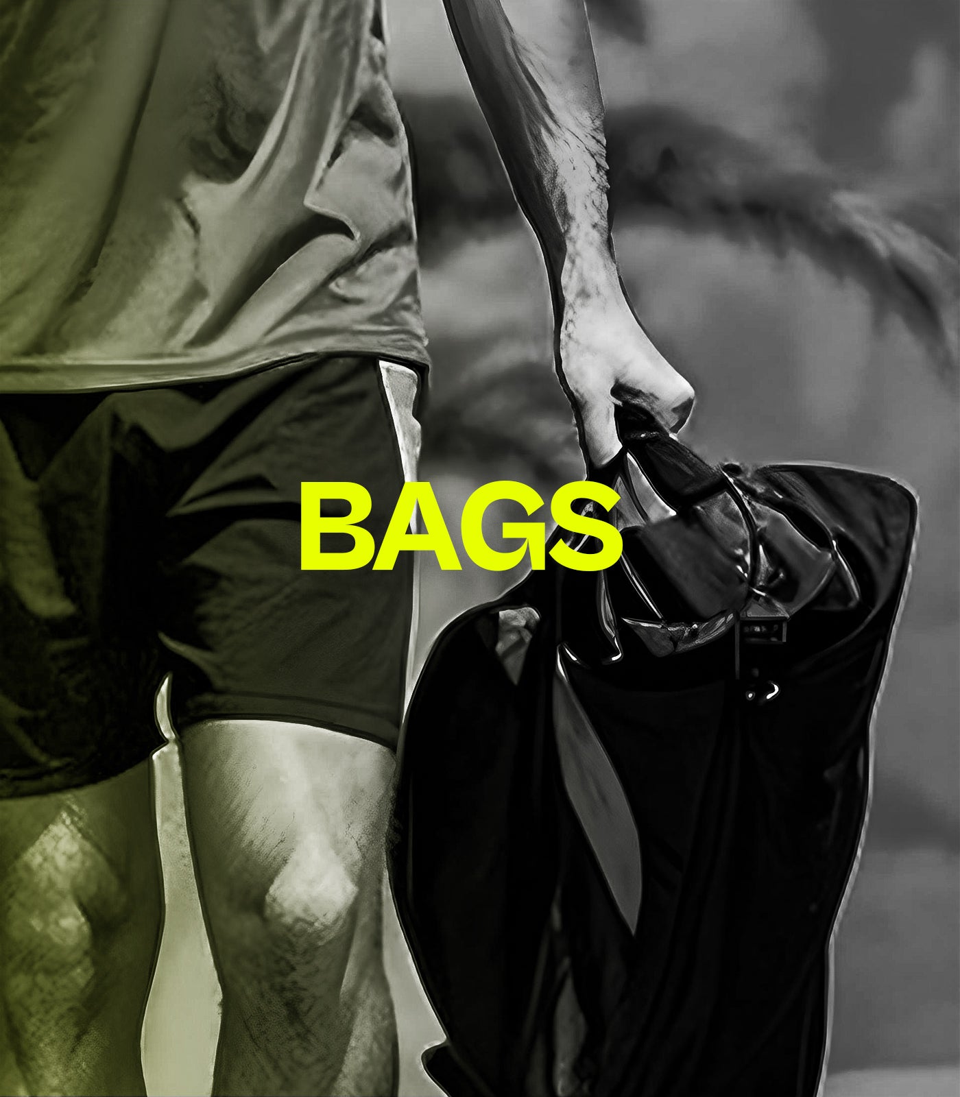 Bags-banner_2.jpg